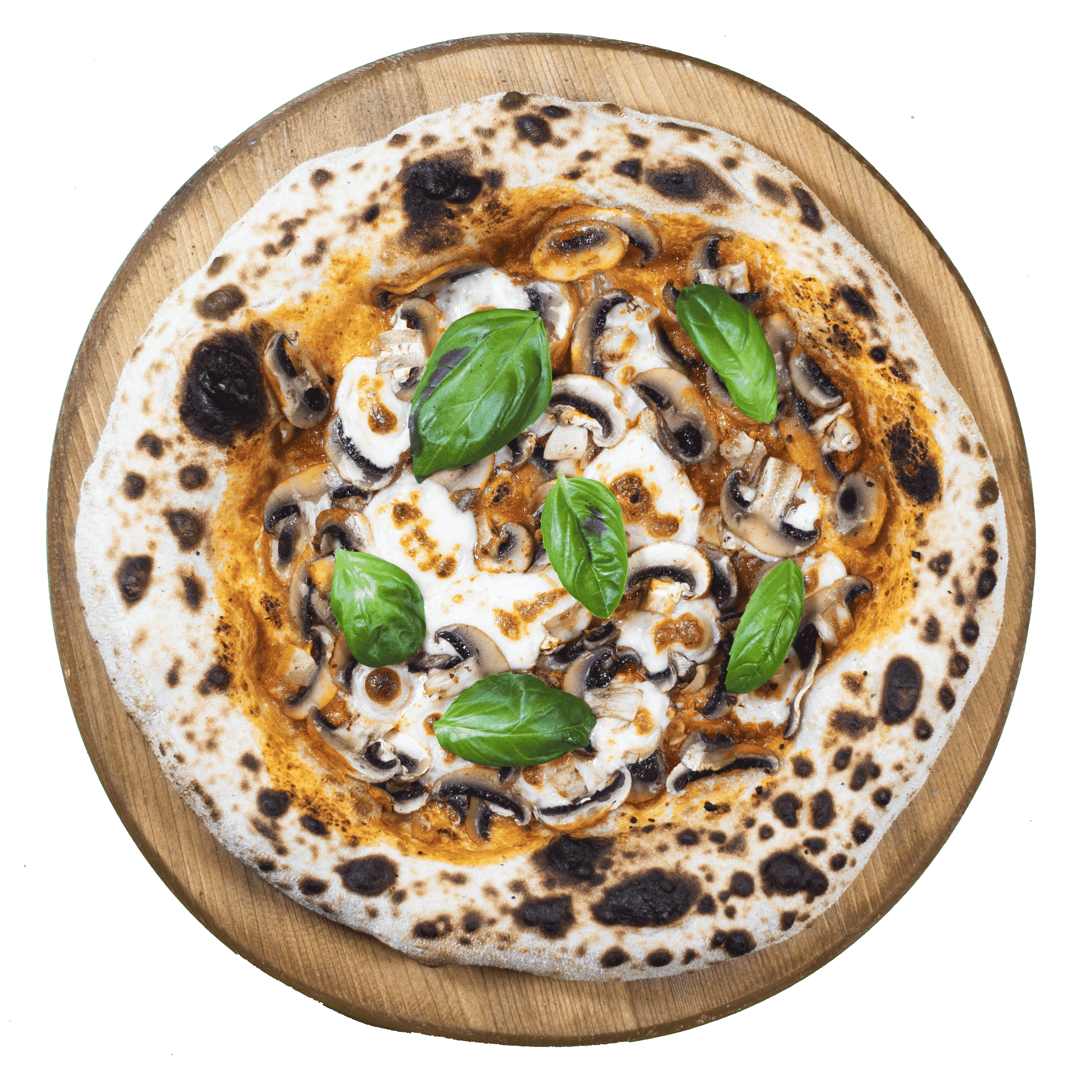 بروفونگی روسو