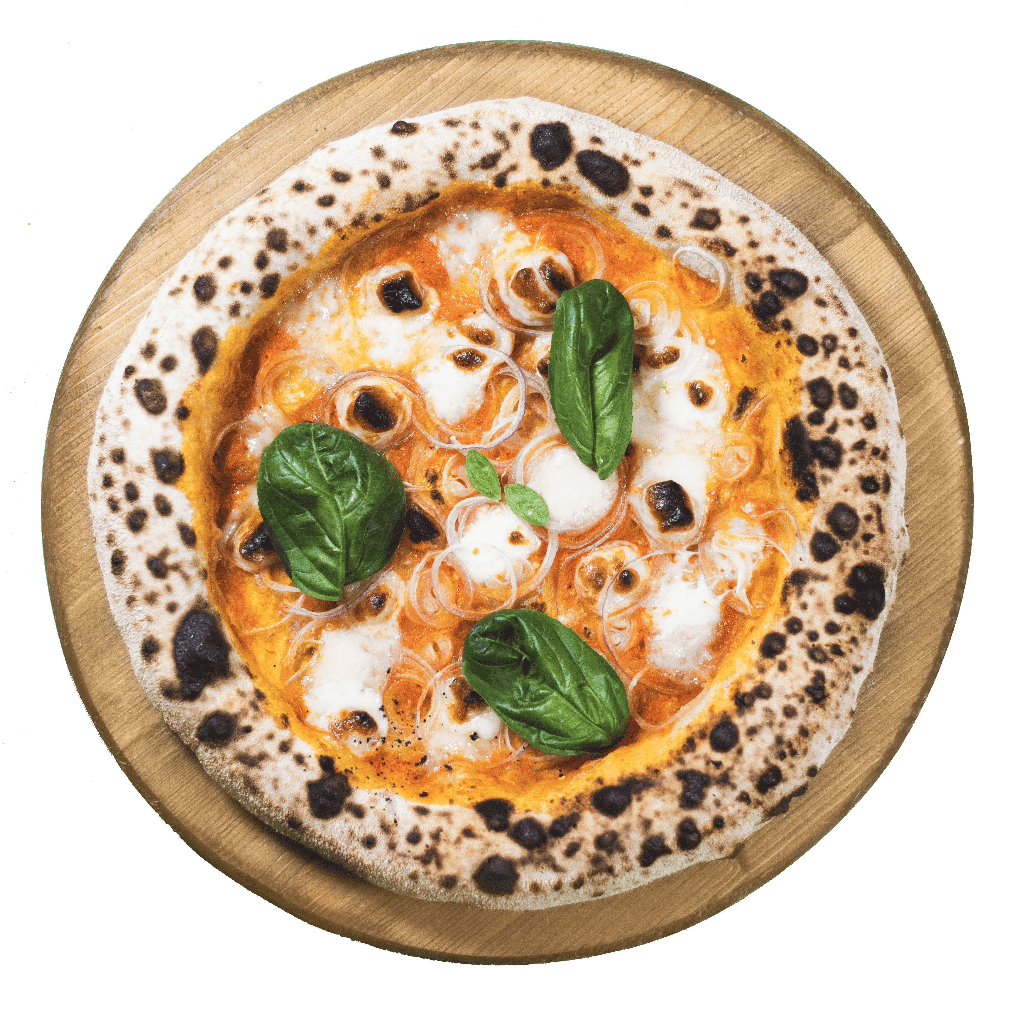 سئه نا چیپولا