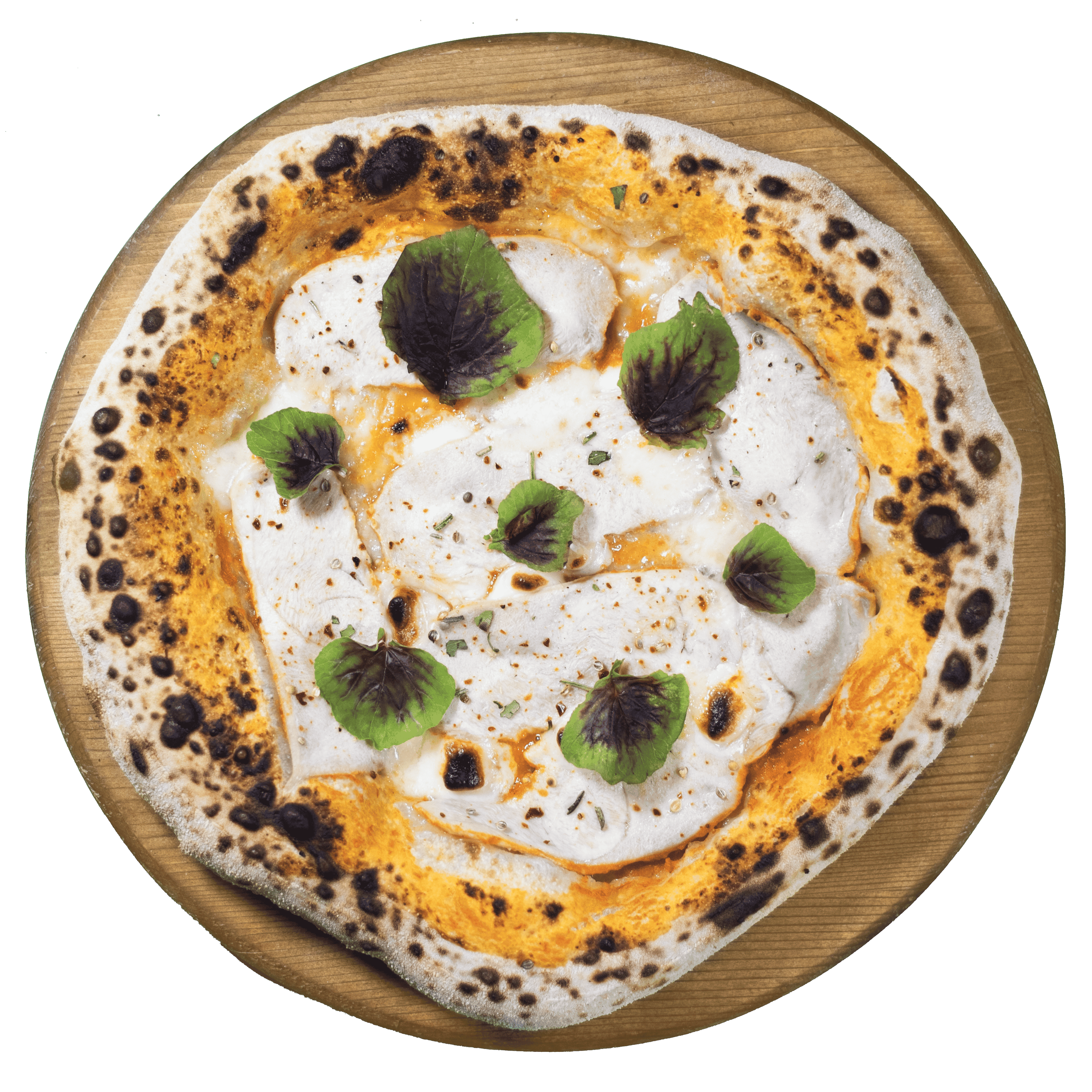 پولو دی روسو