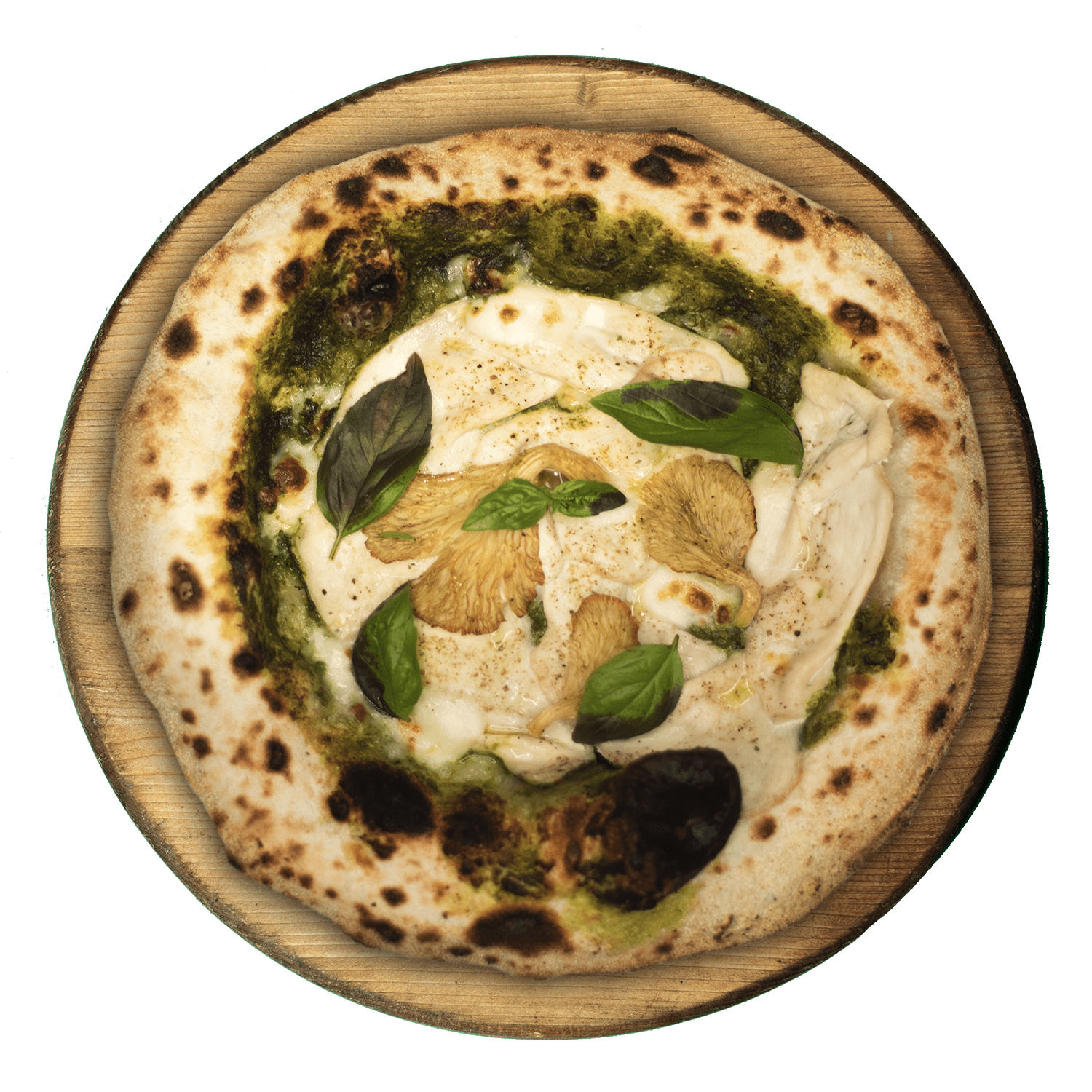 پولو ورده پیکانته